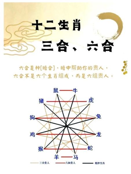 十二生肖明暗属相（十二生肖明暗属相什么意思😎新手一看就懂）