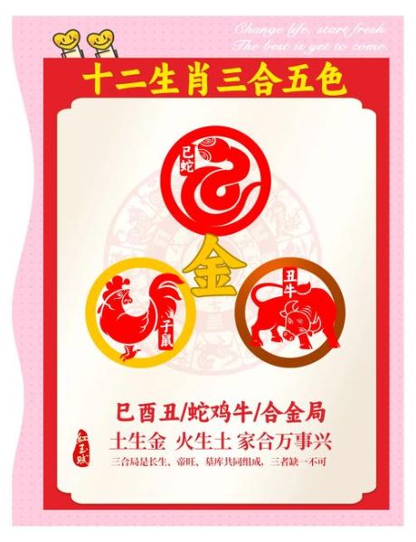 CD什么生肖属相（CD属相指什么生肖？）