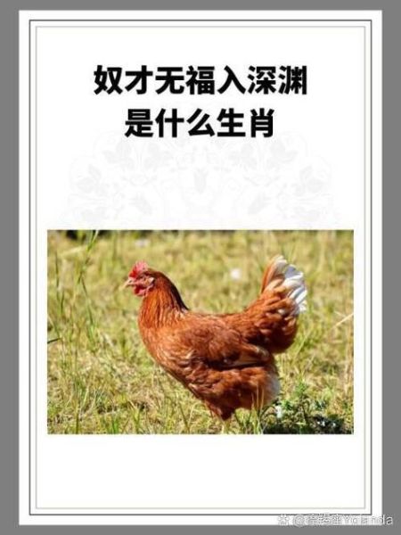 什么属相才是奴才生肖呢（奴才生肖是哪个属相）