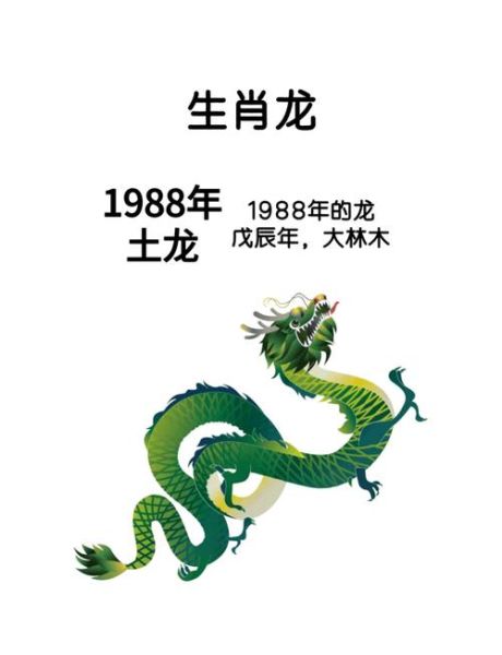 生肖龙喜事多的属相（2025年生肖龙运势旺的属相组合）