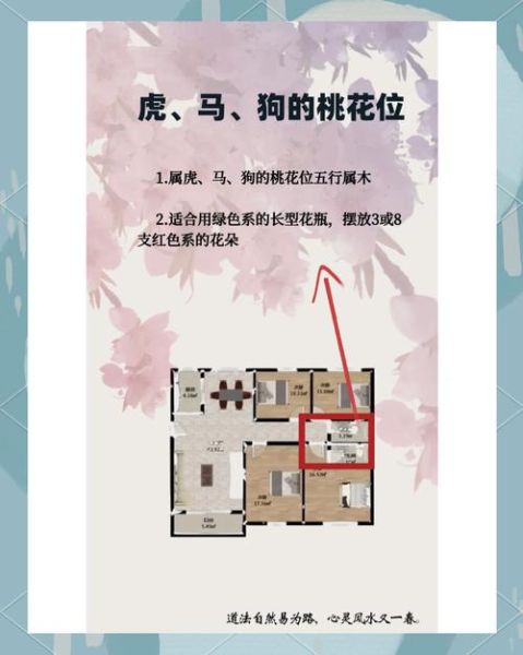生肖属相桃花运(属鼠2025桃花运方位查询)