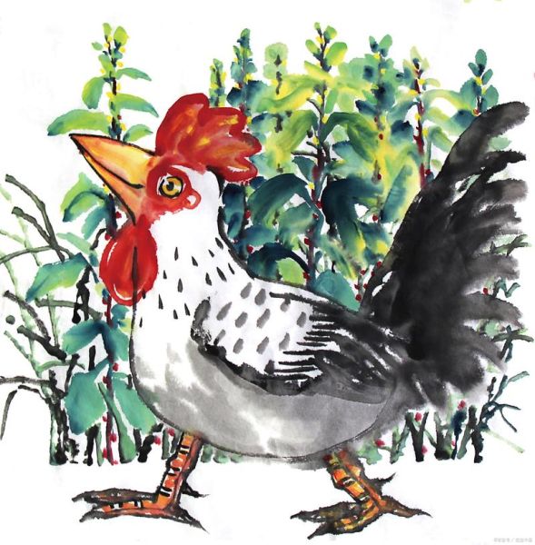 生肖鸡跟什么属相相冲（生肖鸡跟哪些生肖相冲？）