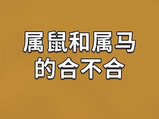 马的婚姻生肖属相（“马与属鼠婚姻合吗”吉凶速查）