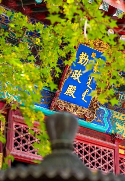 苏东坡属相什么生肖（苏东坡属相是什么生肖？🐭）