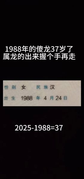 1988年什么生肖属相(1988年属什么生肖?小白秒懂龙年性格)