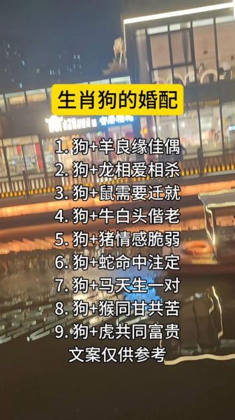 生肖狗婚配最佳属相（属狗和什么属相最配）