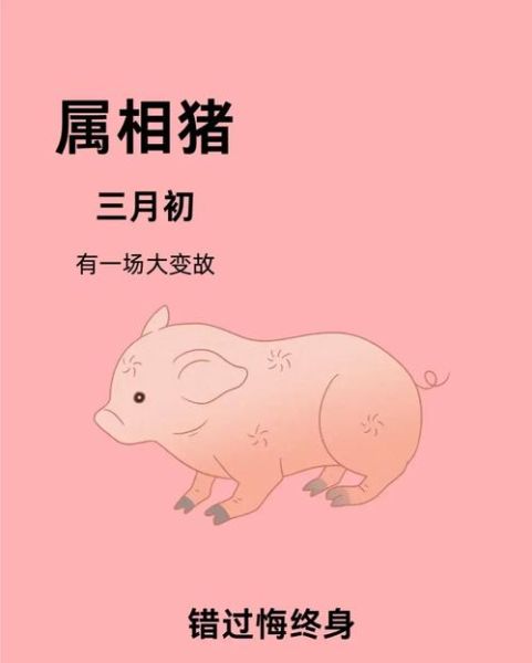 生肖猪禁哪个属相(生肖猪最忌哪个属相?新手避坑指南)