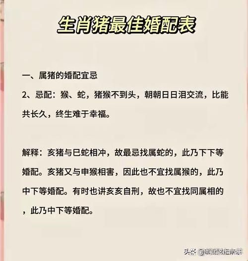 生肖猪最佳伴侣属相（生肖猪最佳伴侣属相是哪些）