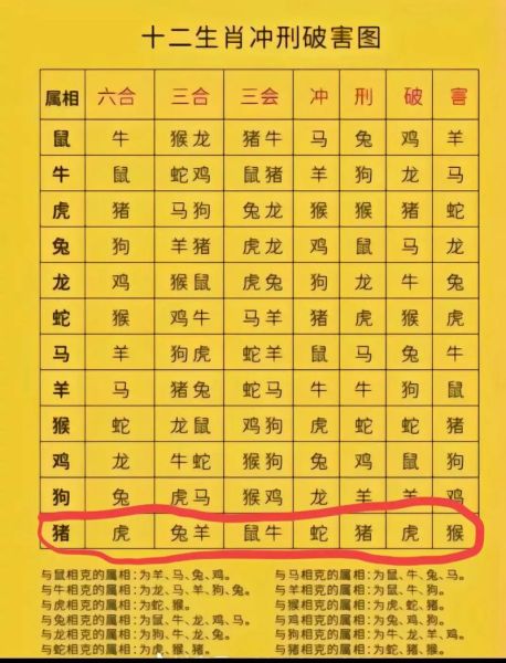 生肖虎与什么生肖属相对冲（生肖虎与什么属相相冲最避坑攻略）