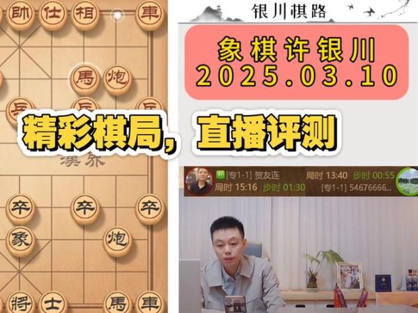 许银川属相是什么生肖（许银川属什么生肖？棋手生肖揭秘）