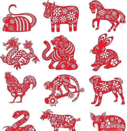 鸡羊生肖属相是什么