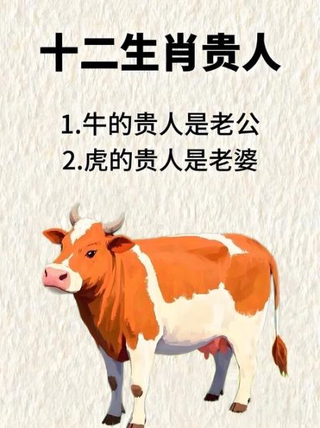 穷属相是什么生肖（穷属相是什么生肖，属牛最常被说吗？）