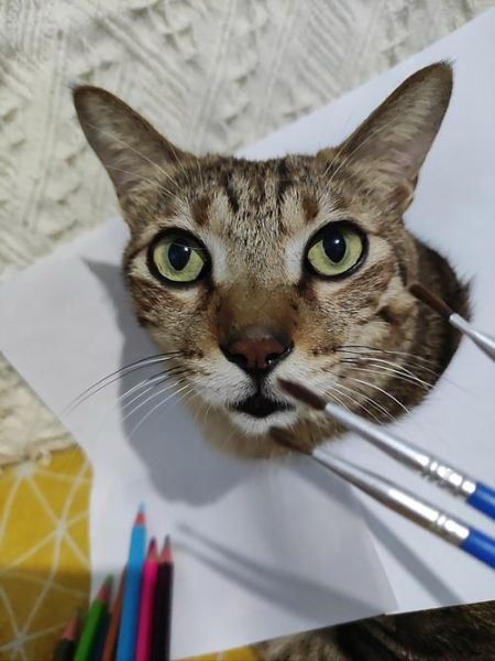 神笔马良的生肖属相（神笔马良生肖属相是什么生肖）