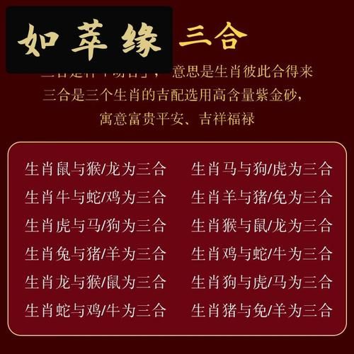 狗生肖相合的属相(狗生肖和什么属相合)