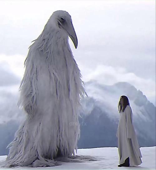 杨过的属相是什么生肖（杨过属什么生肖小白一看就懂）