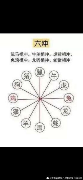 生肖属相兄弟（生肖属相兄弟配对相冲吗）