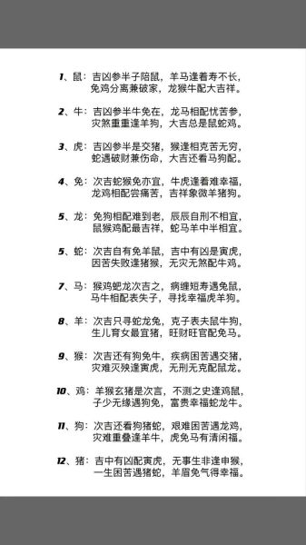 生肖不合是哪个属相