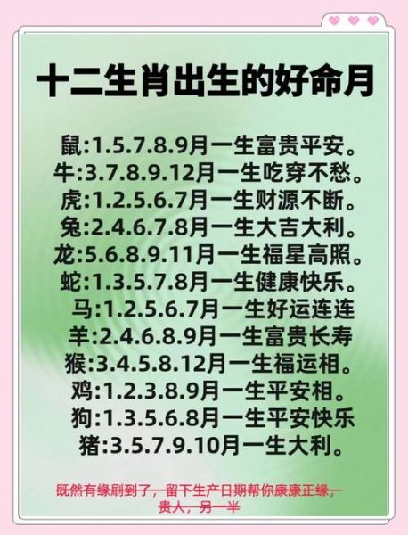 生肖属相的起始日期（生肖按哪天开始算新手一看就懂😉）