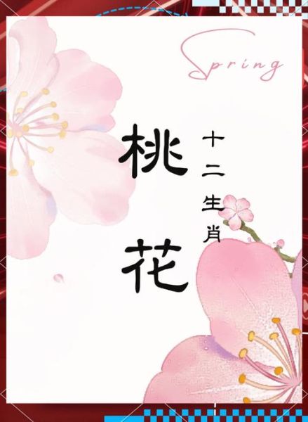 十二生肖桃花最佳属相（十二生肖桃花最佳属相全解析）