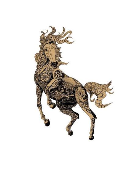 生肖马的属相简称（生肖马简称到底是“午马”还是“马”？）