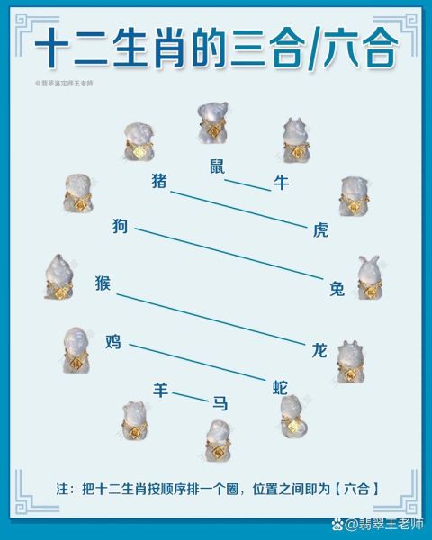 龙马属相合的生肖（龙马属相合的生肖有哪些？）