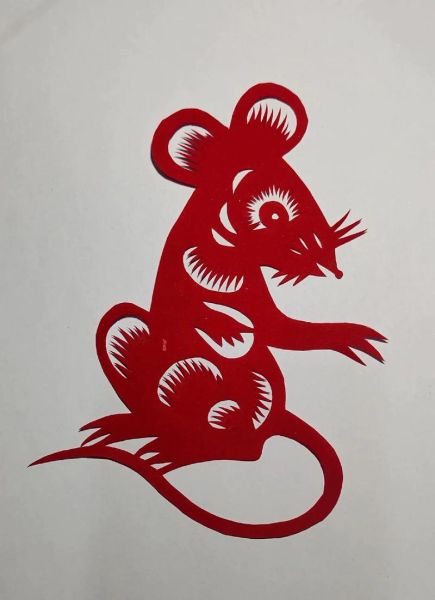 生肖属相模板视频鼠（生肖属相模板视频鼠怎么做）