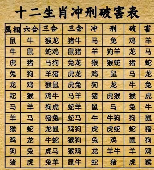 生肖和生肖不合的属相（生肖不合的属相有哪些）