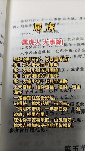 虎年财运生肖属相(虎年如何招财?生肖属相财运指南)