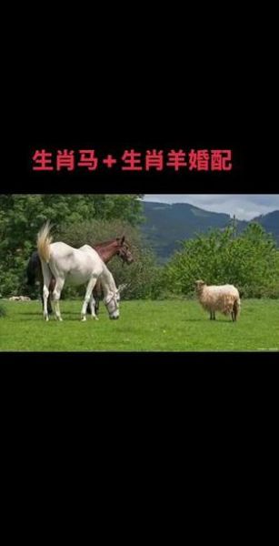 生肖羊婚配属相（生肖羊和什么属相婚配最好）