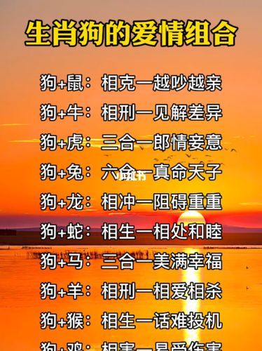 狗男的生肖配对属相（属狗的男生最佳生肖配对）