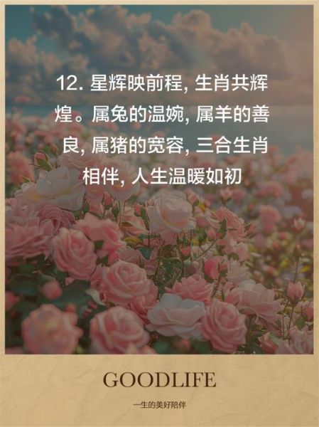 生肖属相发圈（今晚生肖属相发圈文案怎么写）