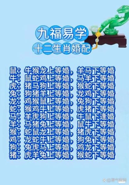 鸡猴属相相配的生肖（鸡猴属相合不合婚？新手必读全解析）