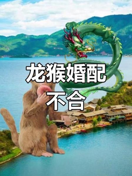 生肖龙情人最多的属相（生肖龙最花心配属猴是真的吗）