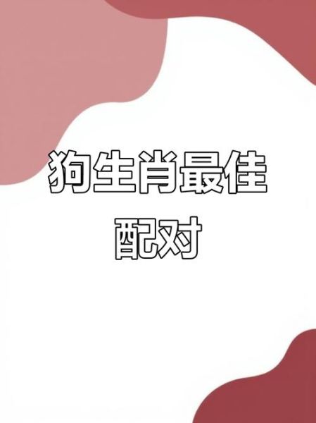 狗生肖最佳配对属相（狗和什么生肖最合？）