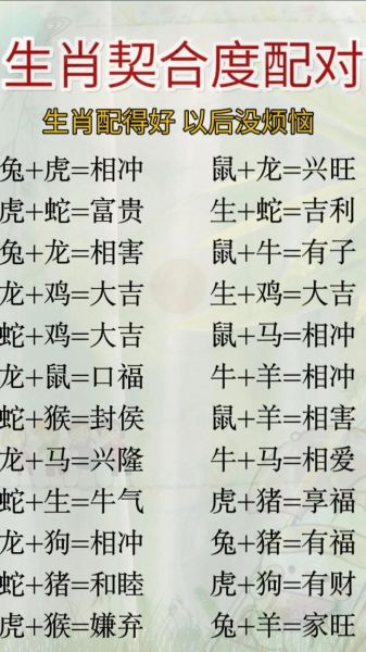 兔年最佳生肖配对属相（兔年最佳生肖配对属相🐰）