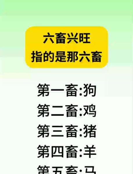 六畜哪些生肖属相（六畜指的是哪六种生肖）