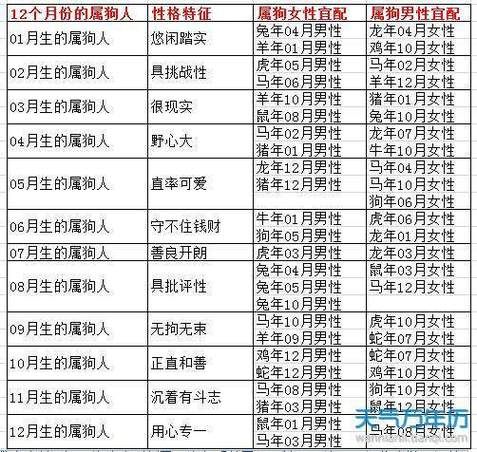 生肖狗喜欢什么属相的人（属狗的和什么属相最配？）