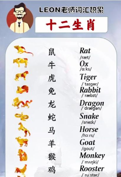 生肖属相 英语单词（十二生肖属相英文单词有哪些）