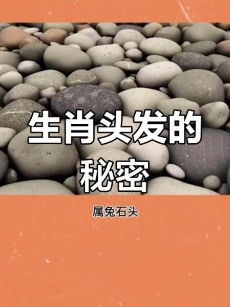 头发属相什么生肖