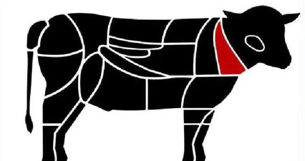 生肖牛生什么属相（生肖牛生什么属相的孩子最好 👶🧩）