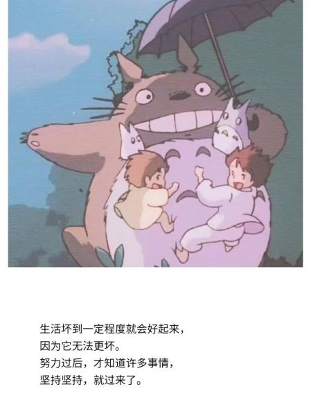 龙猫大夫生肖属相(龙猫大夫生肖属相到底是什么)