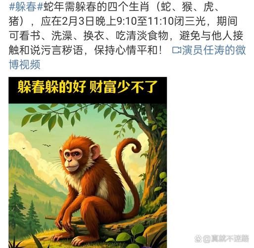 春风属相是什么动物生肖（春风属相是什么生肖？）