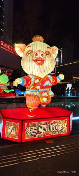 属相灯十二生肖（属相灯十二生肖选购指南）