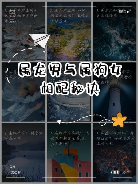 狗属相不合的生肖（狗与龙相冲生肖配对要注意什么）