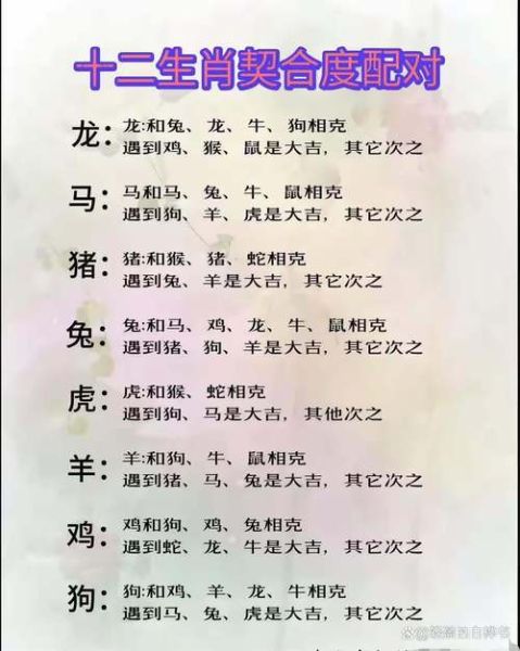 生肖属相速配大全（生肖配对查询表新人一看就会）