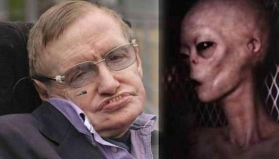 霍金什么生肖属相（霍金属什么生肖？新手一看就懂✨）