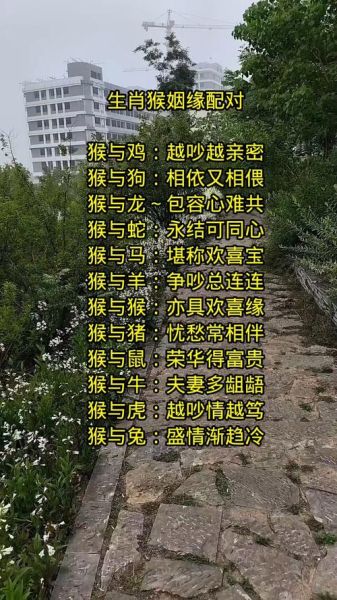 生肖猴属相婚配表大全（生肖猴最匹配的生肖婚配表）