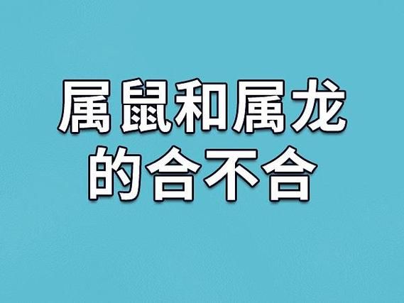 龙和什么生肖属相最好(龙最配属相揭秘:为何龙与鼠是黄金搭档)