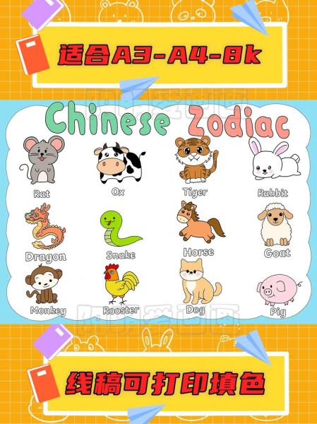 懂英文的生肖是什么属相（懂英文的生肖属相是什么生肖）