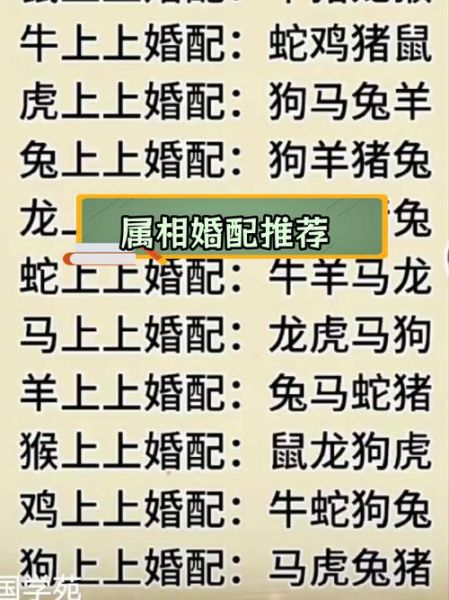 生肖相配属相表大全（生肖配对表怎么看？一篇看懂属相婚配）